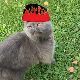 JetzRS4