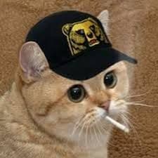 nipapi