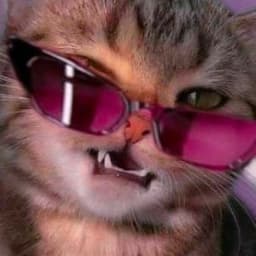 blinofff