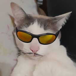 TommyDG