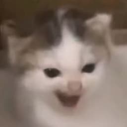 arelber