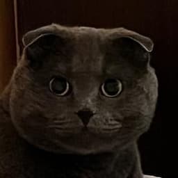 feyl0r