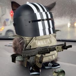 toxaavl