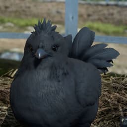 Vantzee1