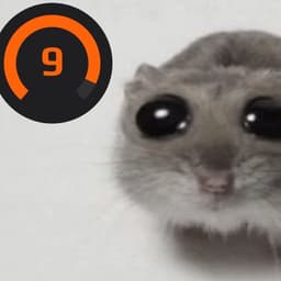 RuFlan228