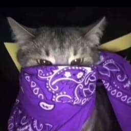 mlodybryl