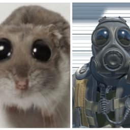 rainigp4c