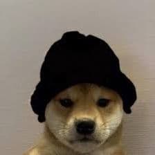 vanhelm