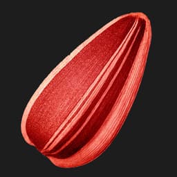 Red_semka