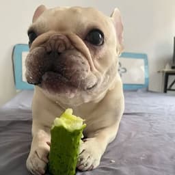 eSKaler