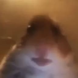 WtfMen110