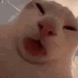 dabmeupp