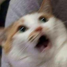 jajszk0