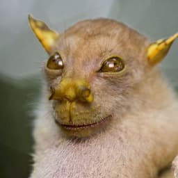 CsalgueiroM