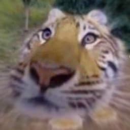 L0n2k