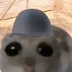 CallMeKarmaa