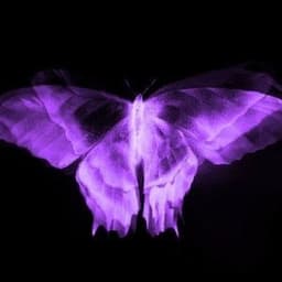firemonarch