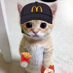 PSC_MCDONALS