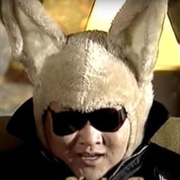 Fnysteboom
