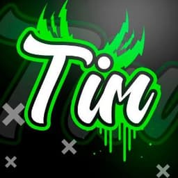 t1m_Q