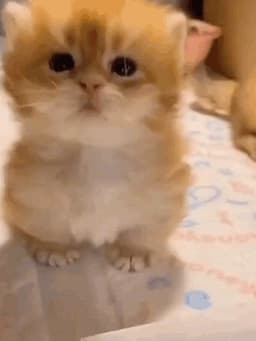 nyatap