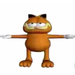 maxtwis
