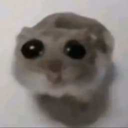 TirSL
