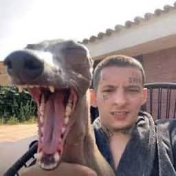 Jonsor