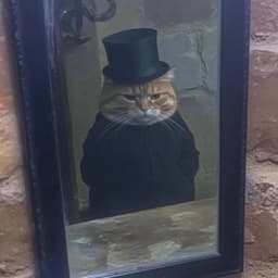 VERONkz