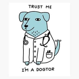 _Dogtor