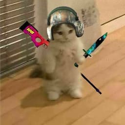 -darxiize