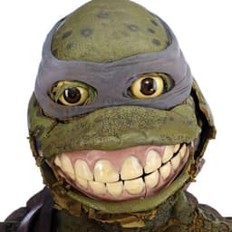 turtleTMNT