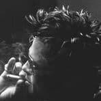 Phoenix_898