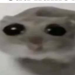 LucasimP