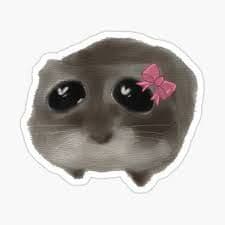 bruniinhaaa
