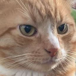 -M1tk0-