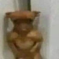 mgdd1337