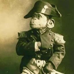 gug