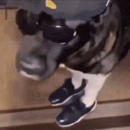 Yeetu_