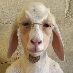 _mAfjuu