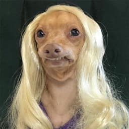 Puzikc