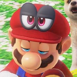 PingouLeGou