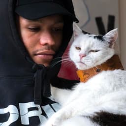 daddynoodle