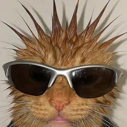 kazys0v