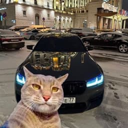 _Aidoha_