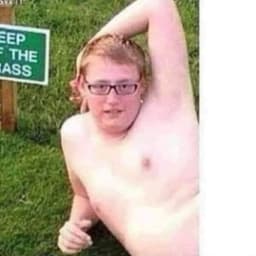 Flappedenar