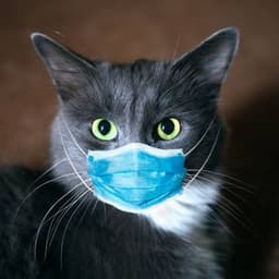 Biohazard101