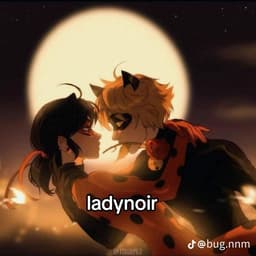 -Insyltik-