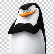 1_kowalski_1