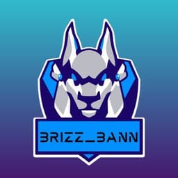 Brizz_baNn